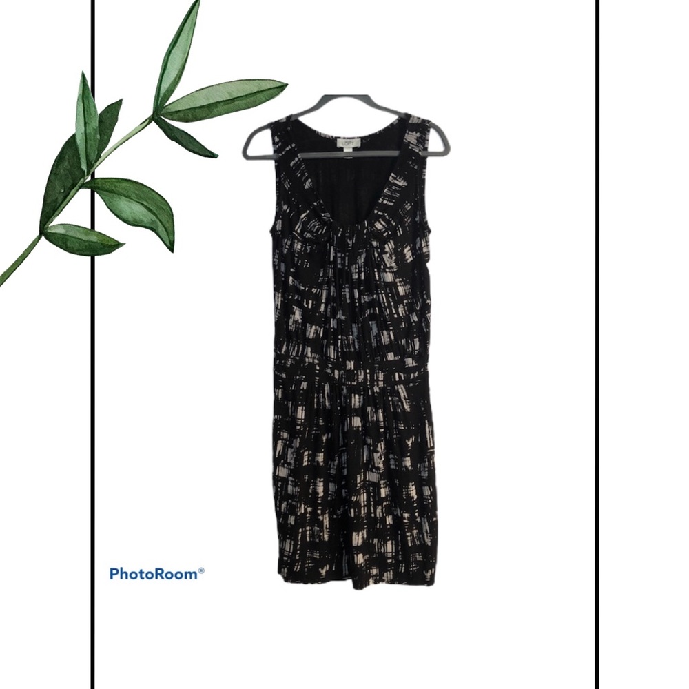 Ann Taylor Loft Black And White Sheer Dress Gem
